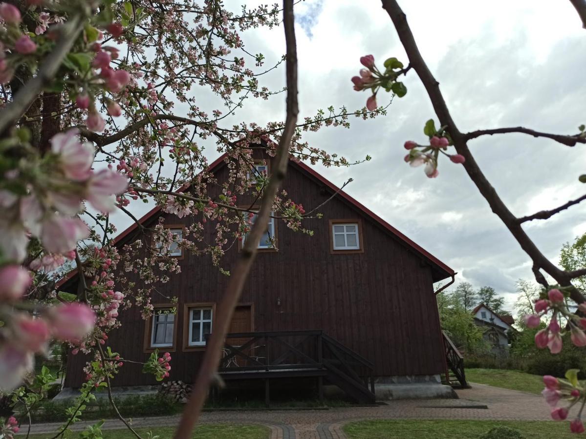 Agroturystyka Sominy Exterior foto